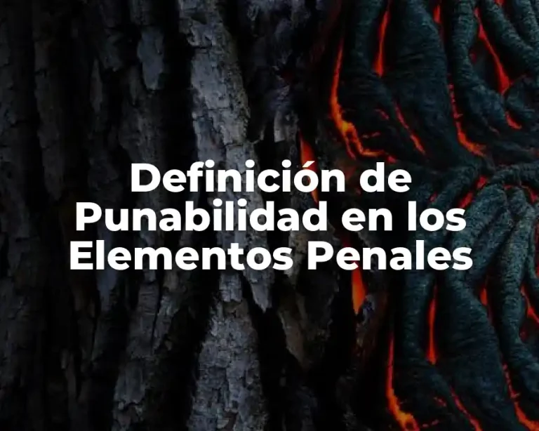 Definición de Punabilidad en los Elementos Penales