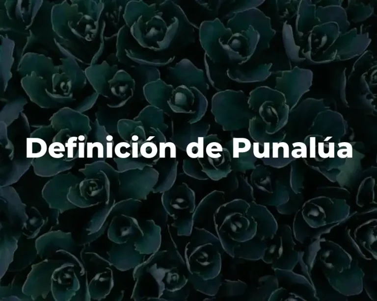Definición de Punalúa