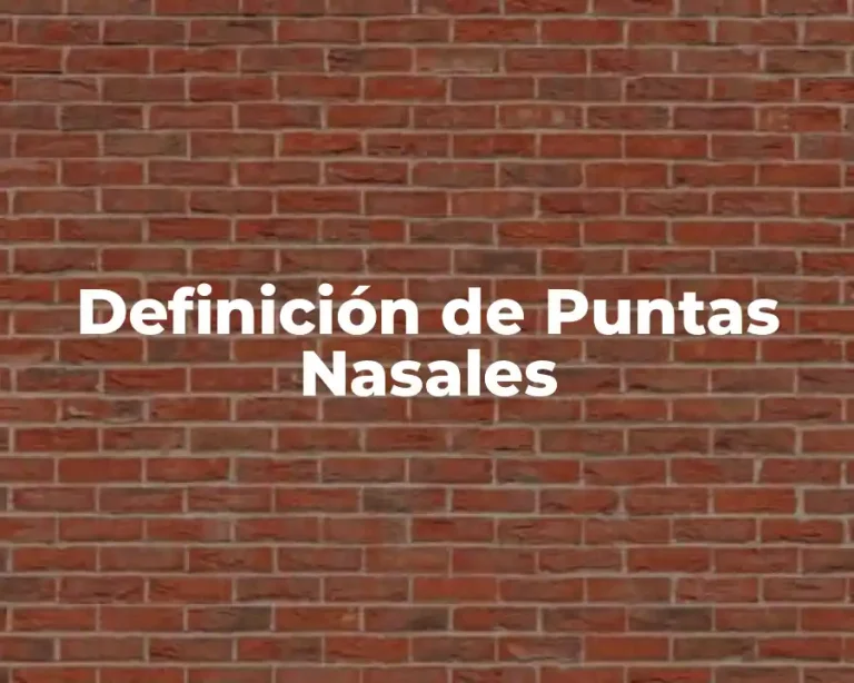 Definición de Puntas Nasales