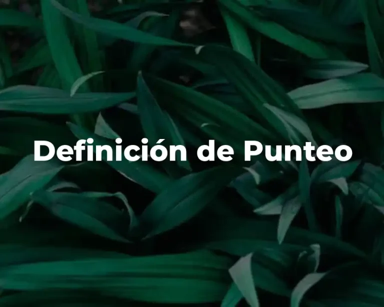 Definición de Punteo