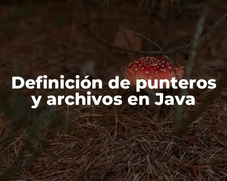 Definición de punteros y archivos en Java