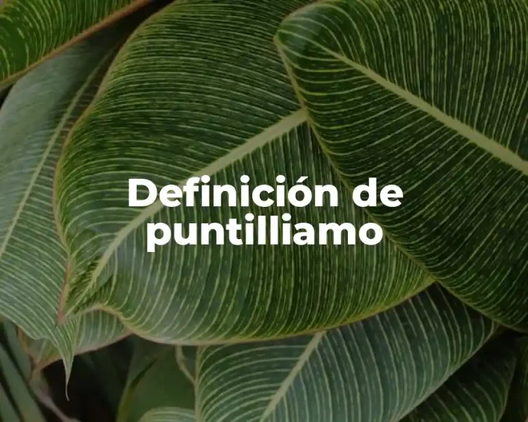Definición de puntilliamo