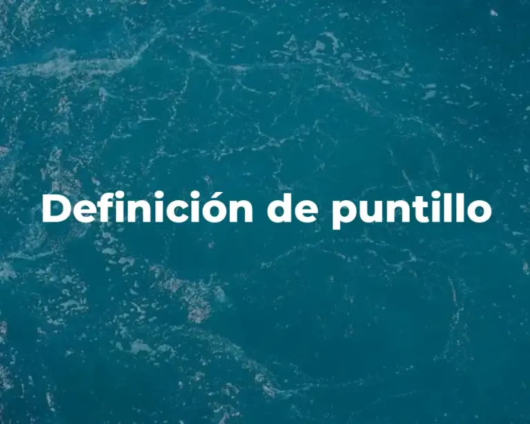 Definición de puntillo