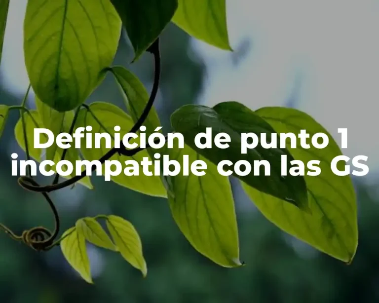 Definición de punto 1 incompatible con las GS
