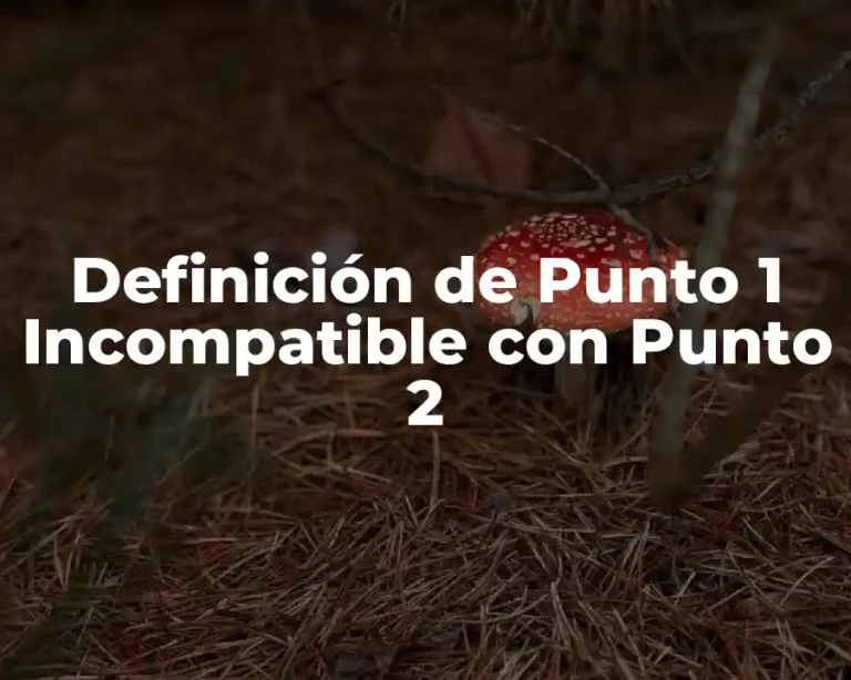 Definición de Punto 1 Incompatible con Punto 2