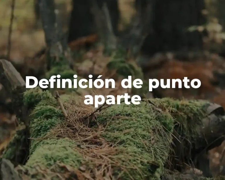 Definición de punto aparte
