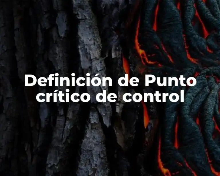 Definición de Punto crítico de control