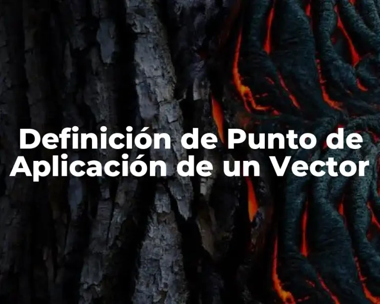 Definición de Punto de Aplicación de un Vector