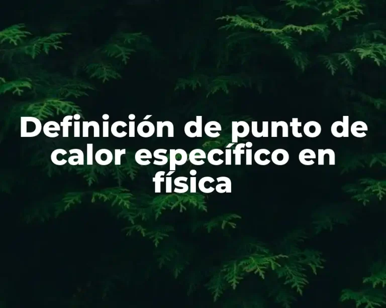 Definición de punto de calor específico en física