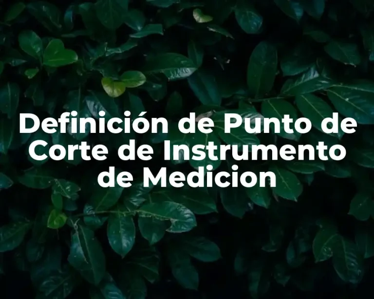 Definición de Punto de Corte de Instrumento de Medicion
