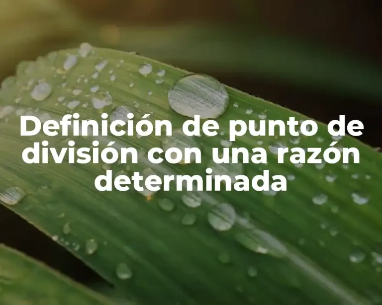 Definición de punto de división con una razón determinada