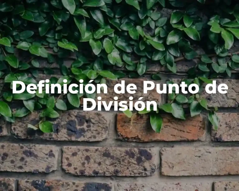 Definición de Punto de División