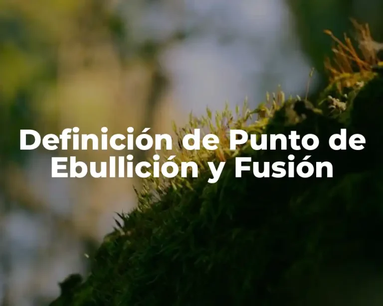 Definición de Punto de Ebullición y Fusión
