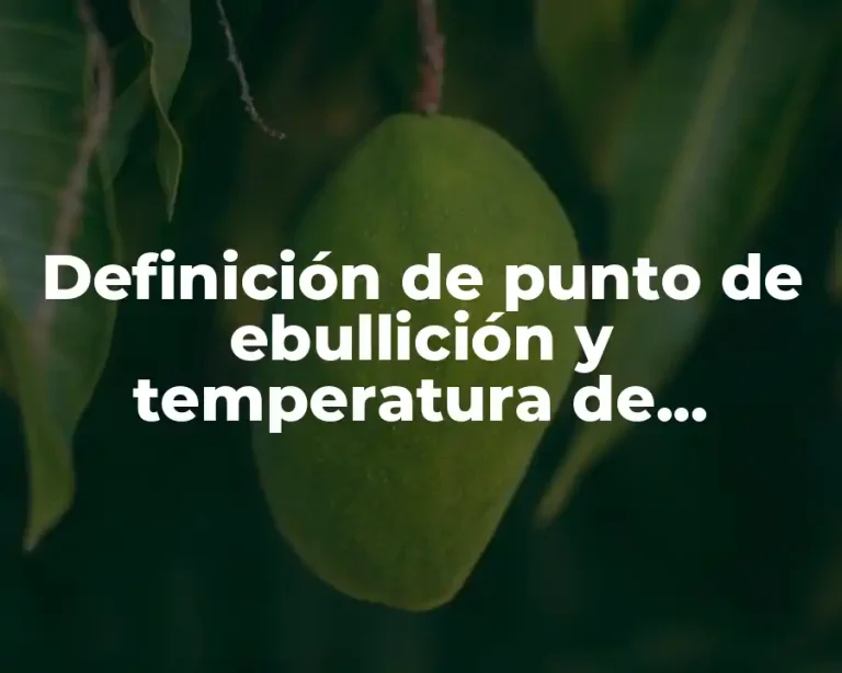 Definición de punto de ebullición y temperatura de ebullición