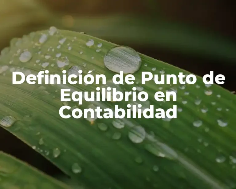 Definición de Punto de Equilibrio en Contabilidad