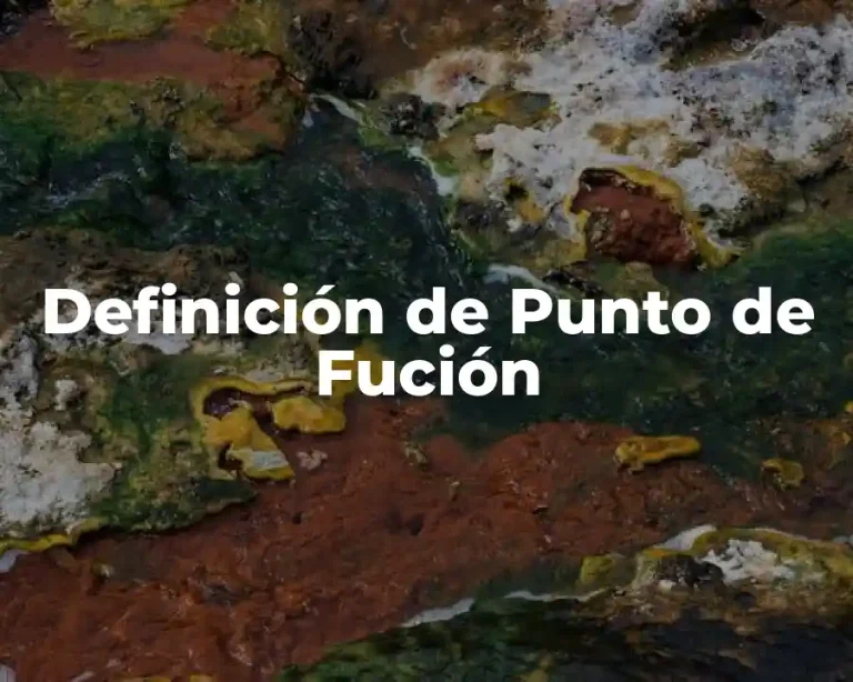 Definición de Punto de Fución