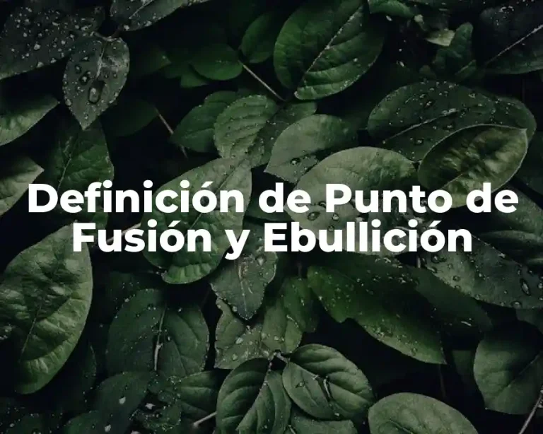 Definición de Punto de Fusión y Ebullición