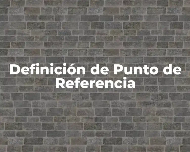 Definición de Punto de Referencia