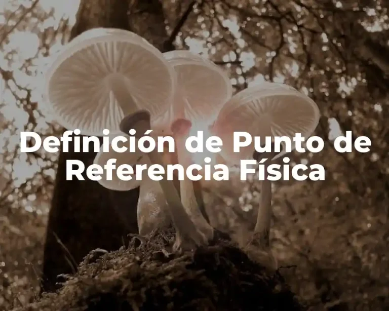 Definición de Punto de Referencia Física