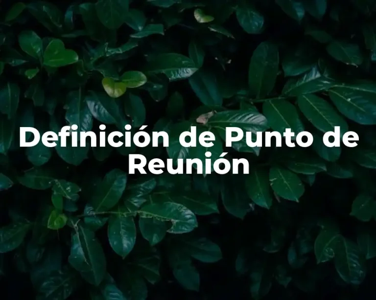 Definición de Punto de Reunión