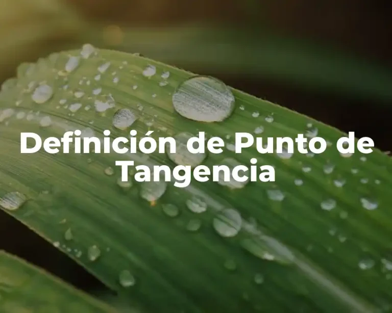 Definición de Punto de Tangencia