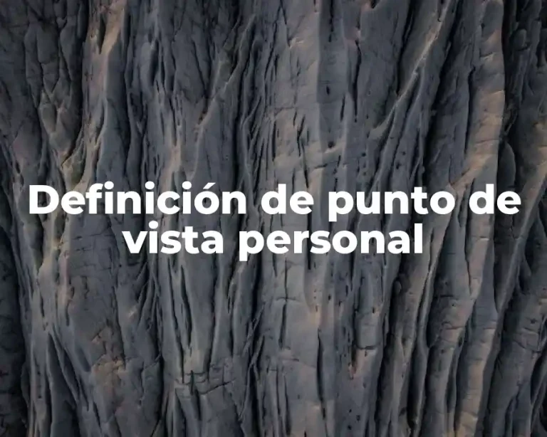 Definición de punto de vista personal