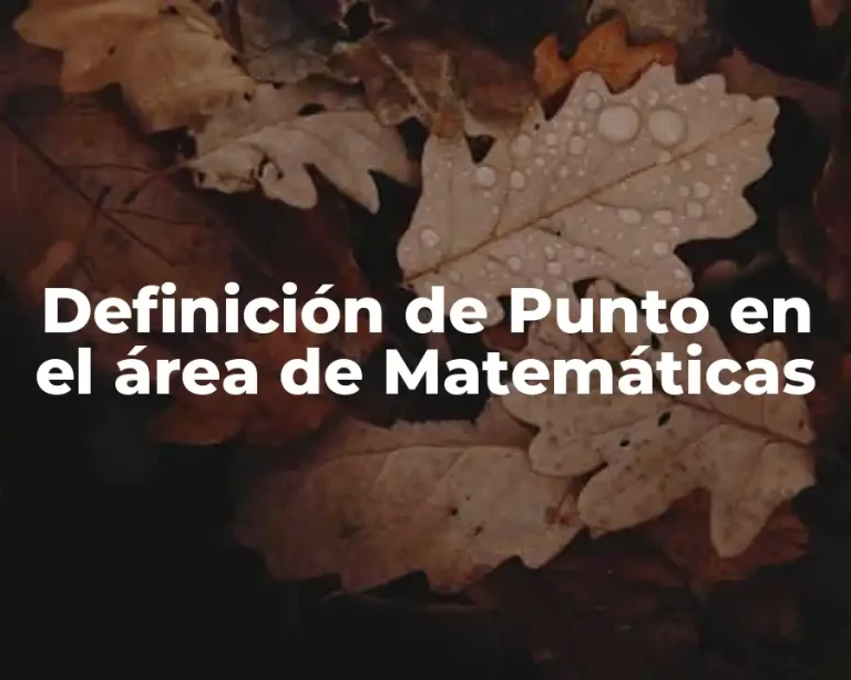 Definición de Punto en el área de Matemáticas