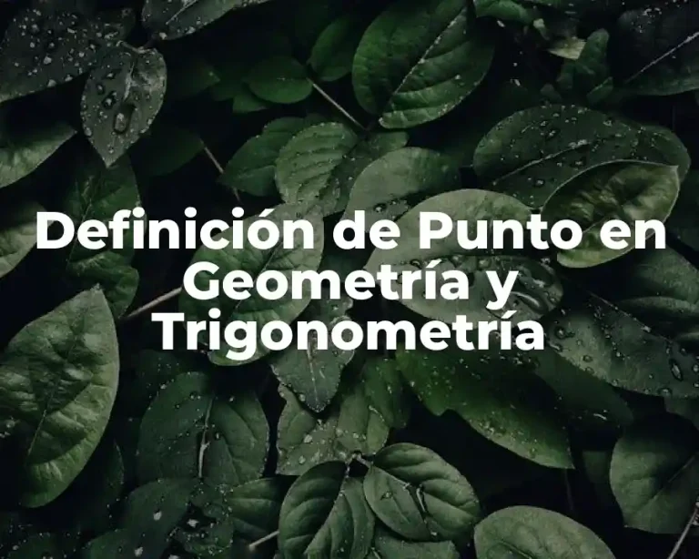 Definición de Punto en Geometría y Trigonometría
