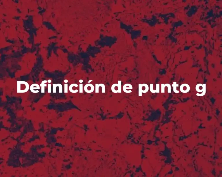 Definición de punto g