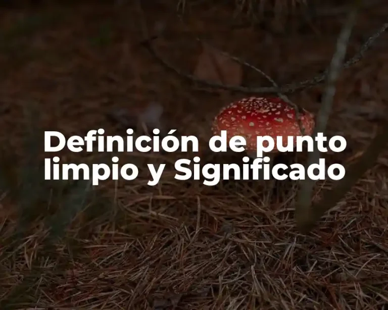 Definición de punto limpio y Significado