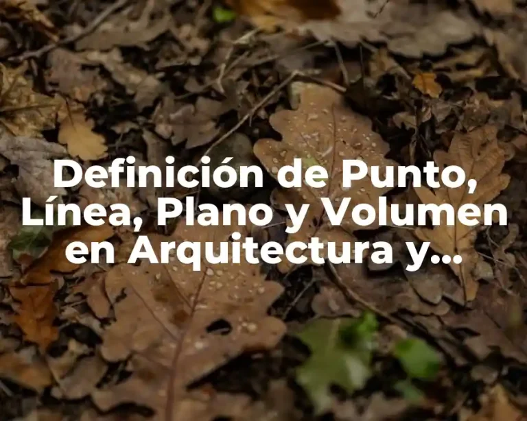 Definición de Punto, Línea, Plano y Volumen en Arquitectura y Significado