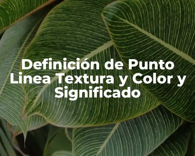 Definición de Punto Linea Textura y Color y Significado