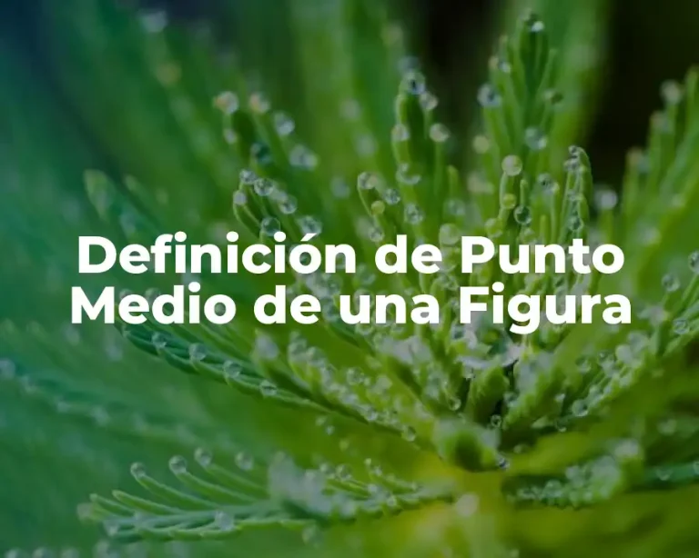 Definición de Punto Medio de una Figura