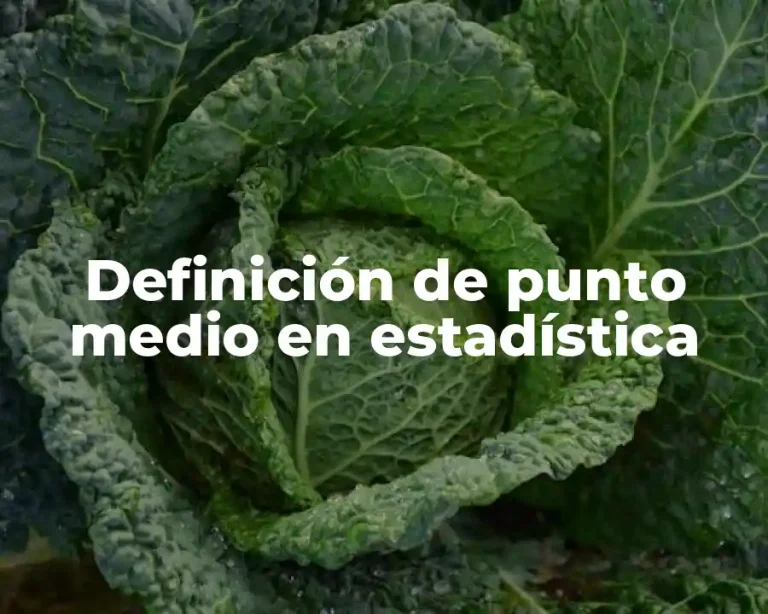 Definición de punto medio en estadística