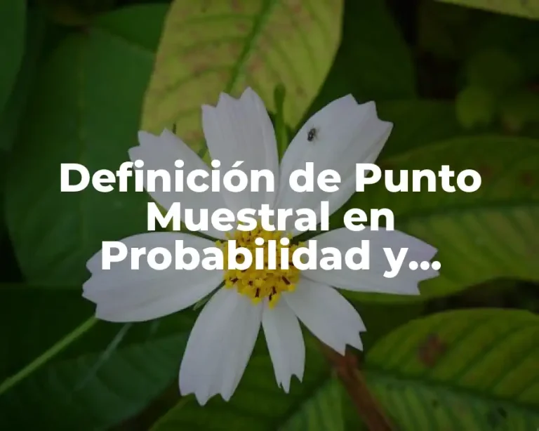 Definición de Punto Muestral en Probabilidad y Estadística