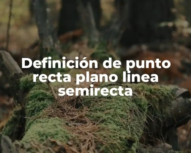 Definición de punto recta plano linea semirecta