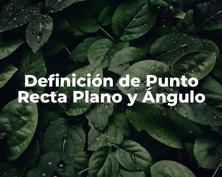 Definición de Punto Recta Plano y Ángulo
