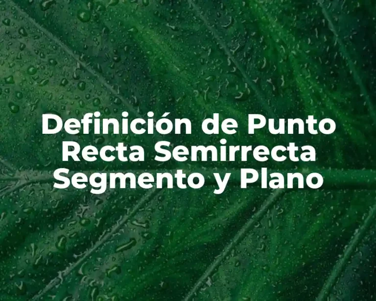 Definición de Punto Recta Semirrecta Segmento y Plano