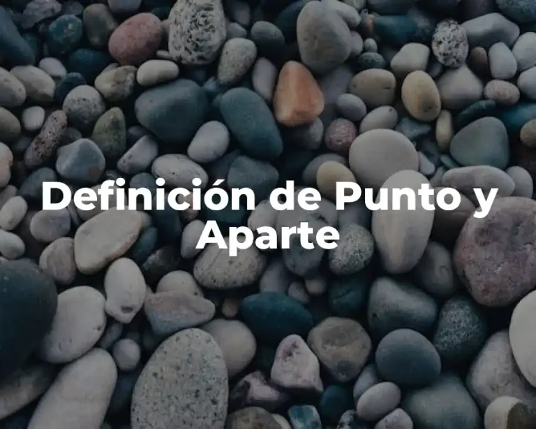 Definición de Punto y Aparte