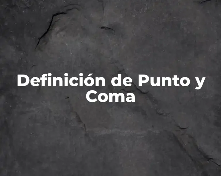 Definición de Punto y Coma