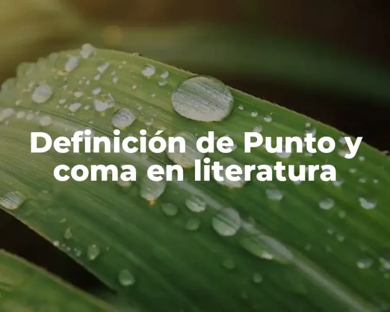 Definición de Punto y coma en literatura