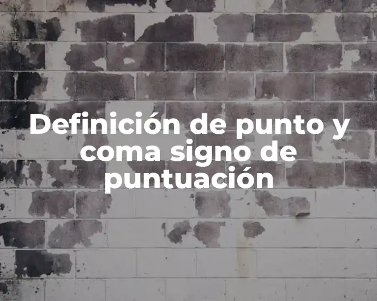 Definición de punto y coma signo de puntuación