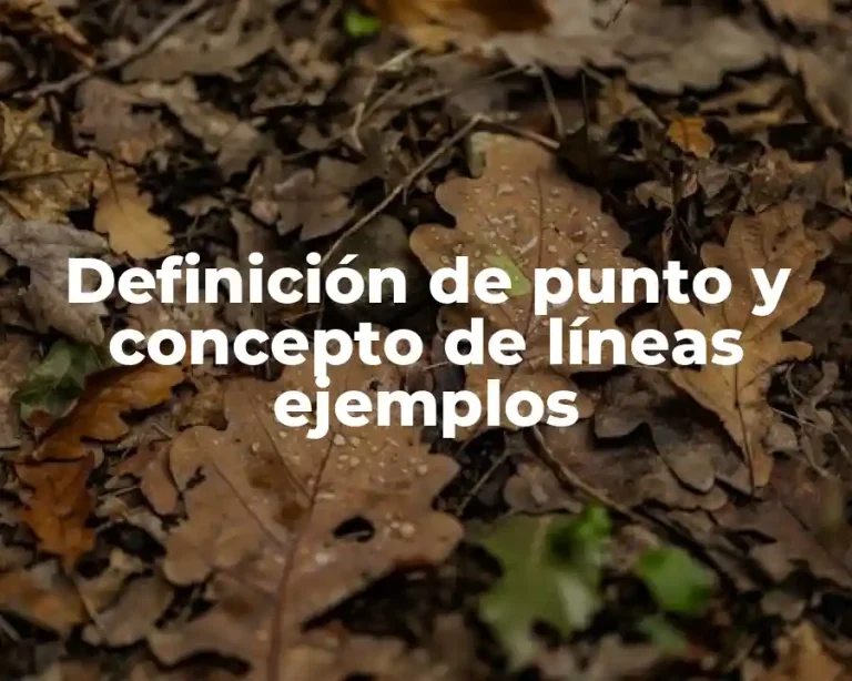Definición de punto y concepto de líneas ejemplos