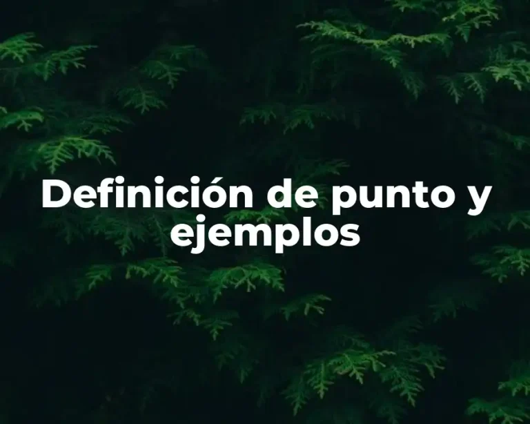 Definición de punto y ejemplos