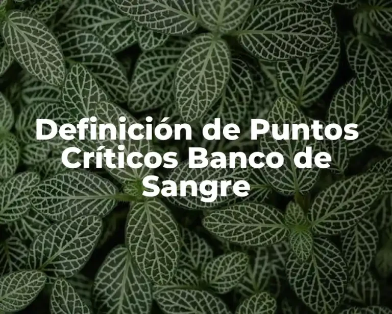Definición de Puntos Críticos Banco de Sangre