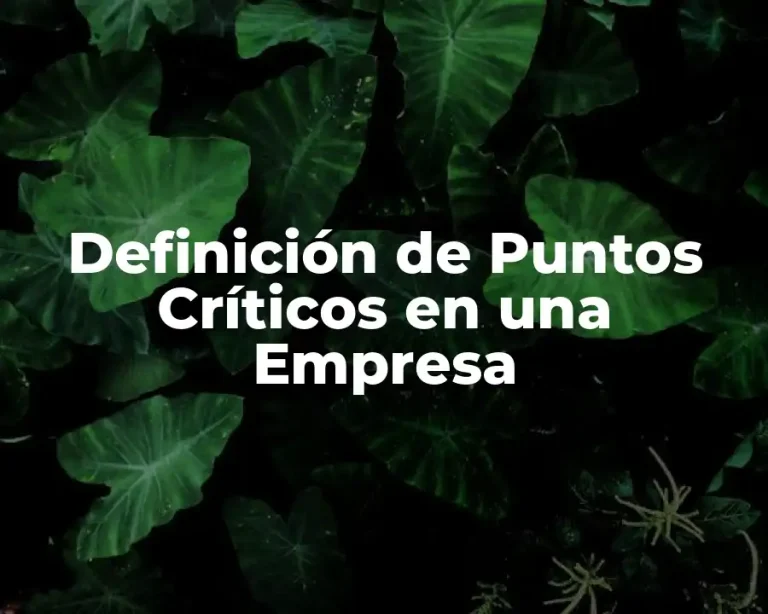 Definición de Puntos Críticos en una Empresa