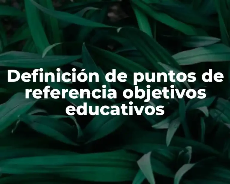 Definición de puntos de referencia objetivos educativos