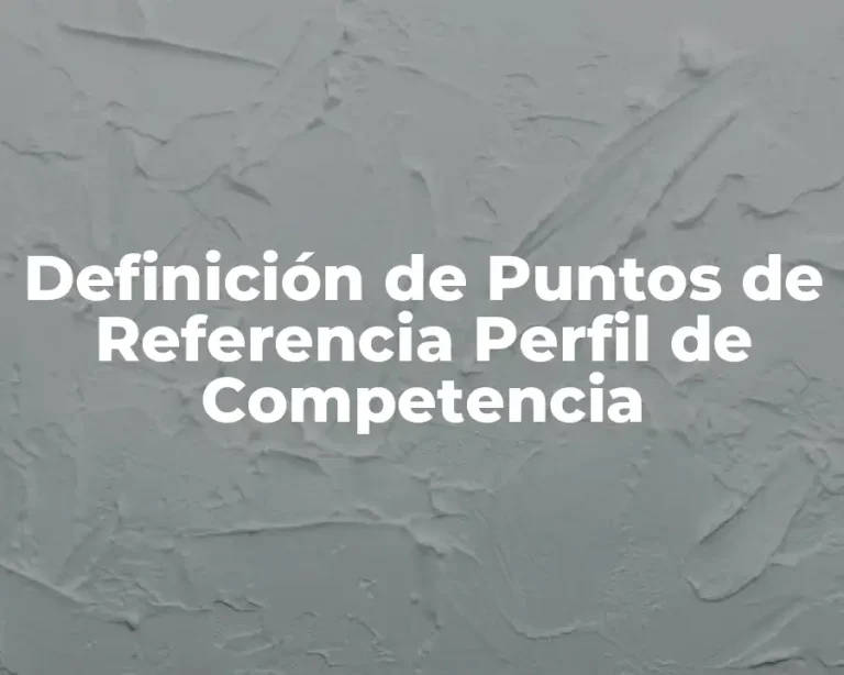 Definición de Puntos de Referencia Perfil de Competencia
