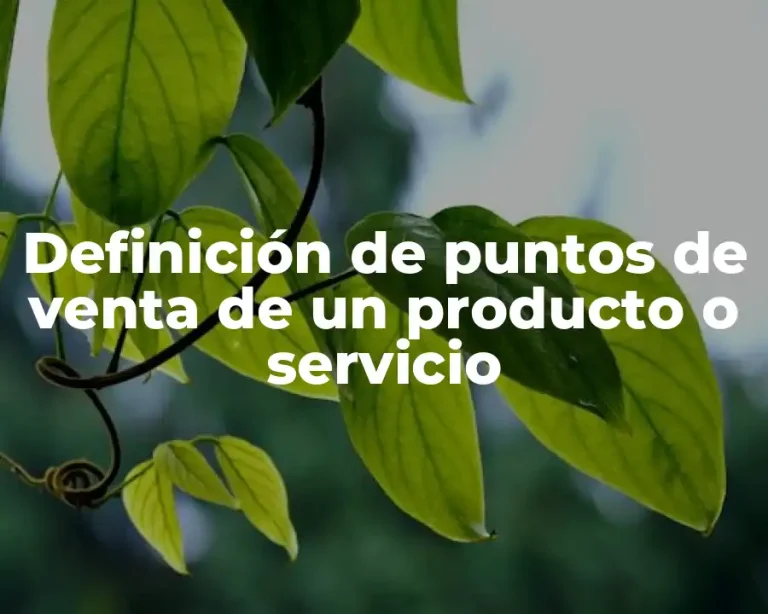 Definición de puntos de venta de un producto o servicio