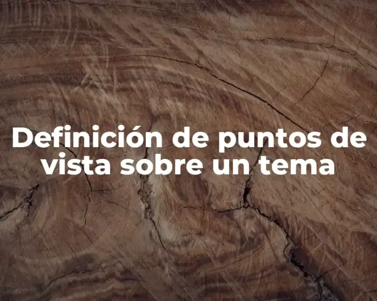Definición de puntos de vista sobre un tema